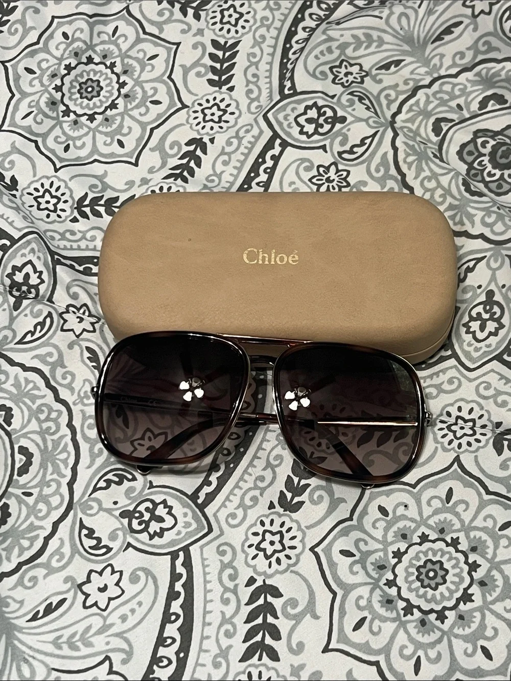 Chloe Brown Tinted Sunglasses with Case